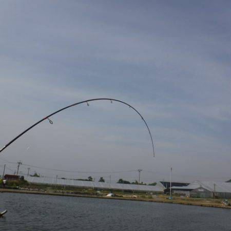 浜名湖フィッシングリゾート 釣果