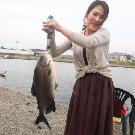 浜名湖フィッシングリゾート 釣果