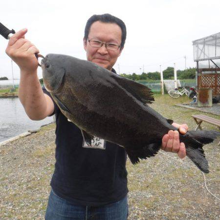 浜名湖フィッシングリゾート 釣果