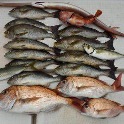 誠裕丸 釣果