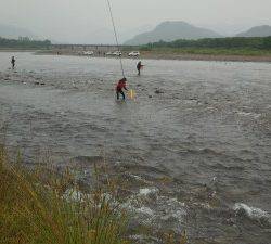 会津大川（会津非出資漁業協同組合） 釣果