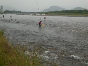 会津大川（会津非出資漁業協同組合） 釣果