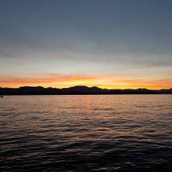 フィッシングボート空風（そらかぜ） 釣果