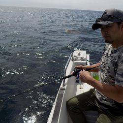 フィッシングボート空風（そらかぜ） 釣果