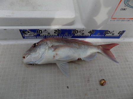 フィッシングボート空風（そらかぜ） 釣果