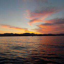 フィッシングボート空風(そらかぜ) 釣果