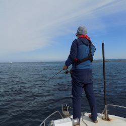 フィッシングボート空風(そらかぜ) 釣果