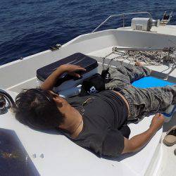 フィッシングボート空風(そらかぜ) 釣果