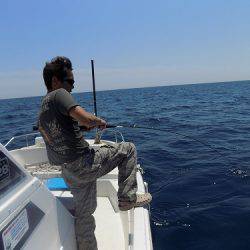 フィッシングボート空風(そらかぜ) 釣果