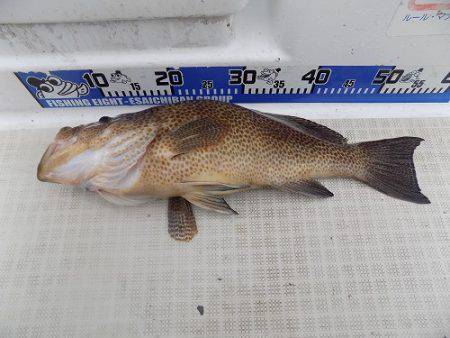 フィッシングボート空風(そらかぜ) 釣果