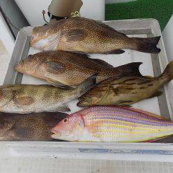 フィッシングボート空風(そらかぜ) 釣果