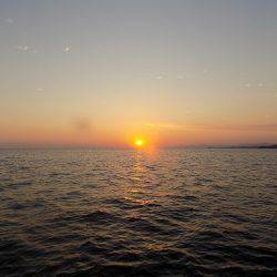 フィッシングボート空風(そらかぜ) 釣果