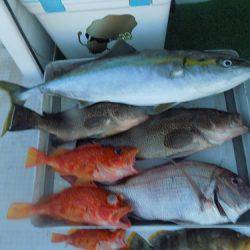 フィッシングボート空風(そらかぜ) 釣果