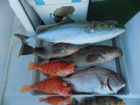 フィッシングボート空風(そらかぜ) 釣果