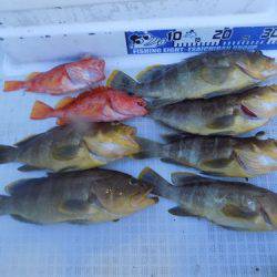 フィッシングボート空風(そらかぜ) 釣果