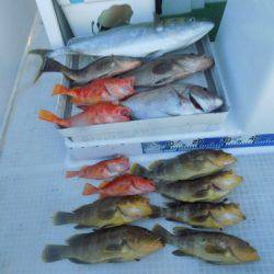 フィッシングボート空風(そらかぜ) 釣果