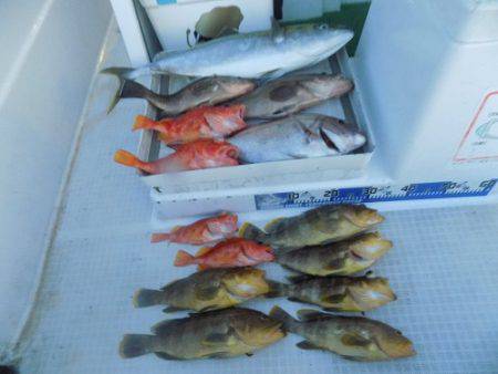 フィッシングボート空風(そらかぜ) 釣果