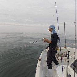 フィッシングボート空風(そらかぜ) 釣果