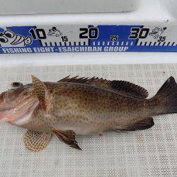 フィッシングボート空風(そらかぜ) 釣果