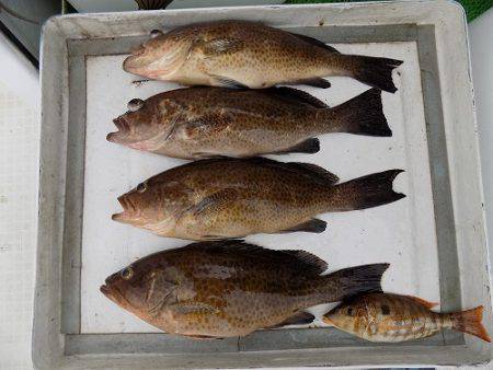 フィッシングボート空風（そらかぜ） 釣果