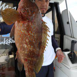 Fisherman Dreams DI 釣果