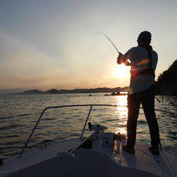 Fisherman Dreams DI 釣果