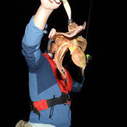 Fisherman Dreams DI 釣果