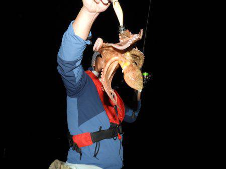 Fisherman Dreams DI 釣果