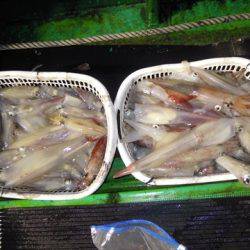 海宝丸　島根 釣果