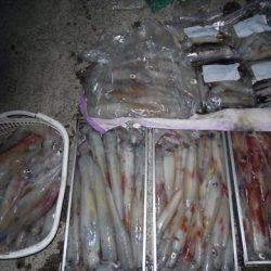 海宝丸 島根 釣果