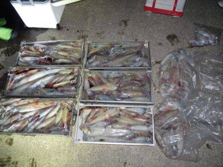 海宝丸　島根 釣果