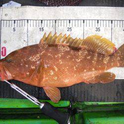 海宝丸　島根 釣果