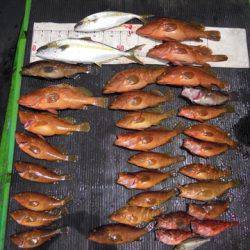 海宝丸　島根 釣果