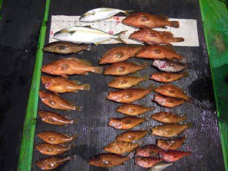 海宝丸　島根 釣果