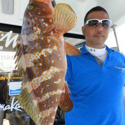 Fisherman Dreams DI 釣果