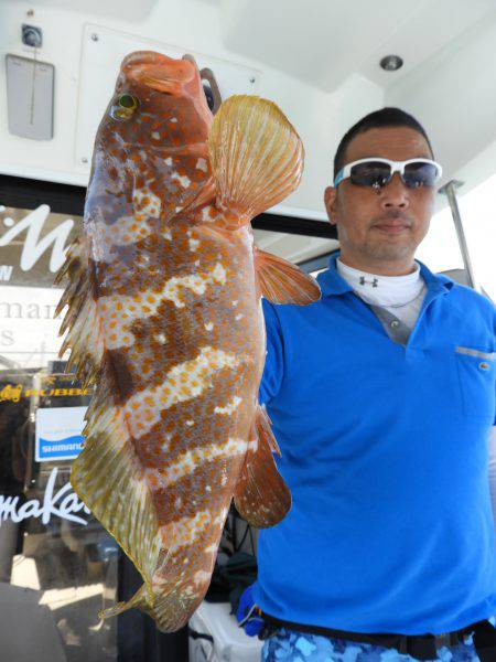 Fisherman Dreams DI 釣果