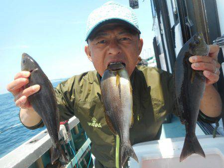大進丸(愛知) 釣果