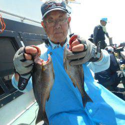 大進丸(愛知) 釣果