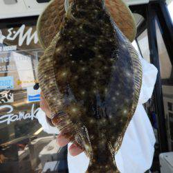 Fisherman Dreams DI 釣果