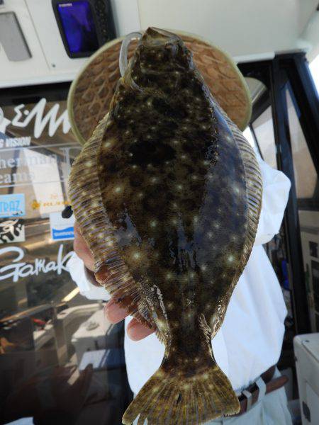 Fisherman Dreams DI 釣果