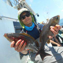 大進丸(愛知) 釣果