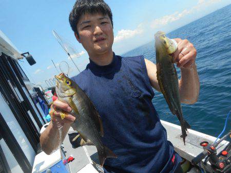 大進丸(愛知) 釣果