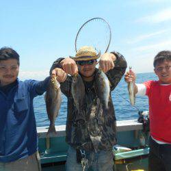 大進丸(愛知) 釣果