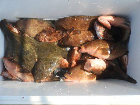 Fisherman Dreams DI 釣果