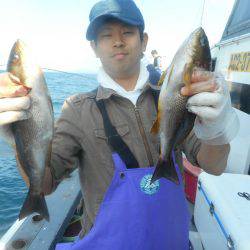 大進丸(愛知) 釣果