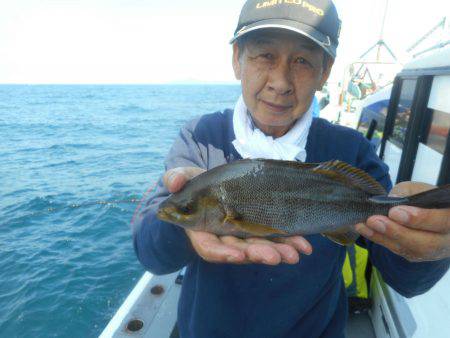 大進丸(愛知) 釣果