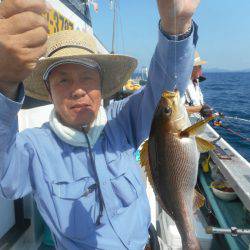 大進丸(愛知) 釣果