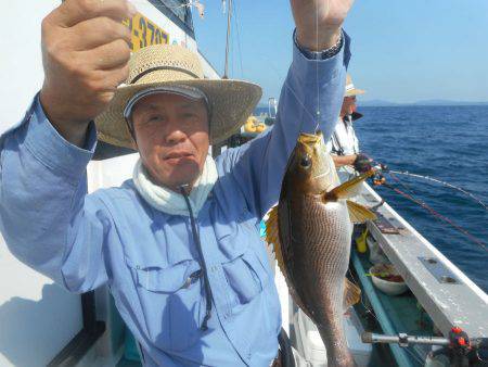 大進丸(愛知) 釣果