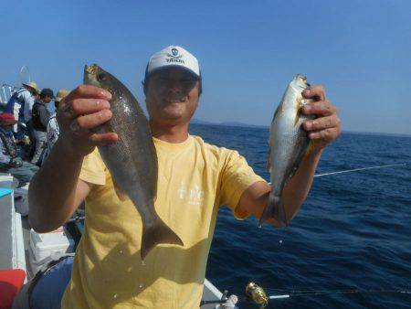 大進丸(愛知) 釣果