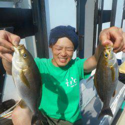 大進丸(愛知) 釣果